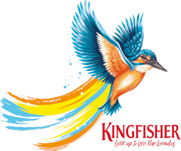 Kingfisher 30Ltr 4.1%